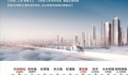 上海地区新闻爆料电话,倾听民声，守护城市脉搏